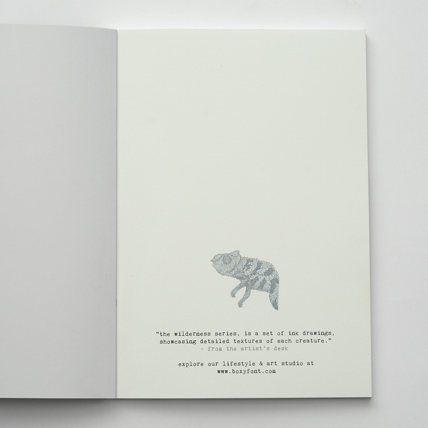 Gecko - The Wilderness Series