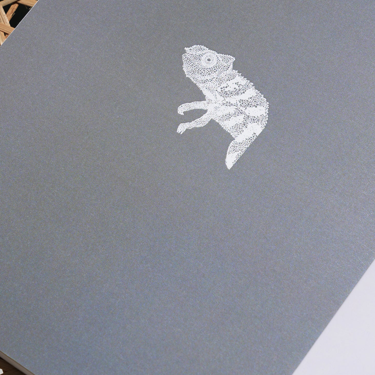 Gecko - The Wilderness Series